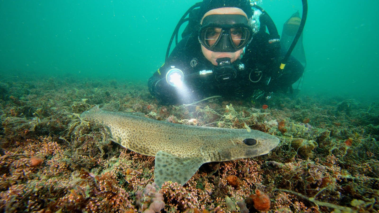 Diving in Alanya: What Beginners Should Expect