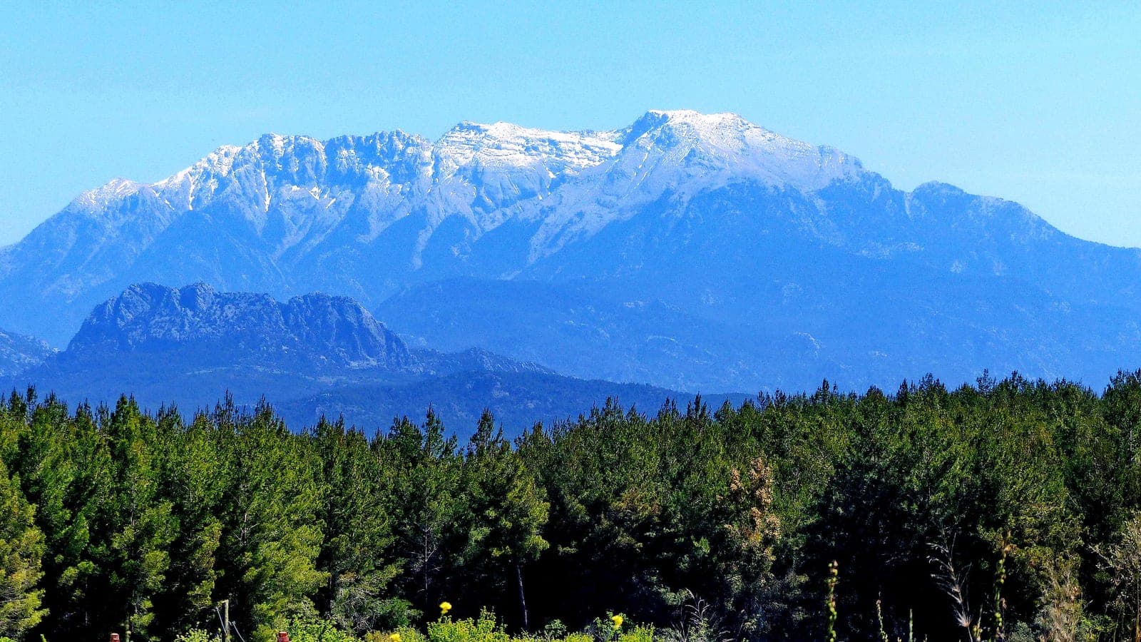 Snow-capped Taurus peaks rising above pine forest